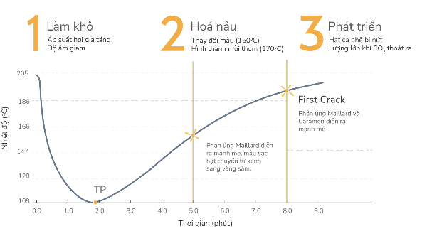 Các phân đoạn của quá trình rang