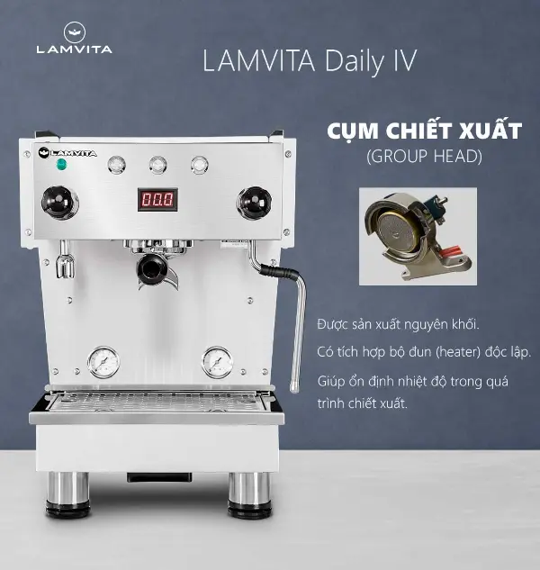 LAMVITA Daily IV